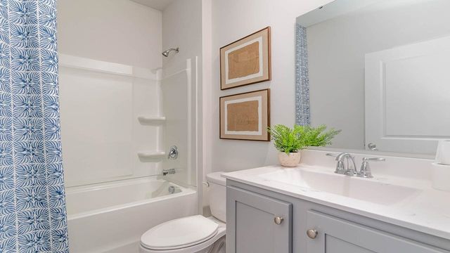 160 Hadley Springs Ave, Longs, SC 29568