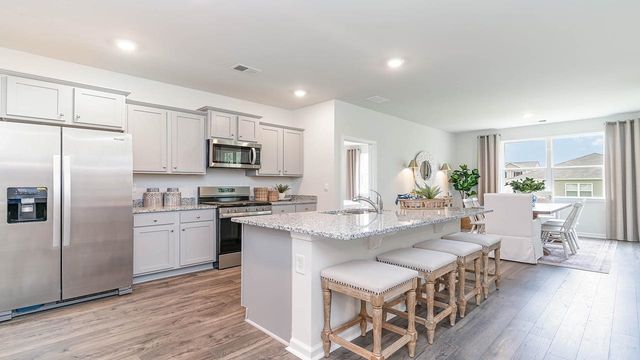 160 Hadley Springs Ave, Longs, SC 29568