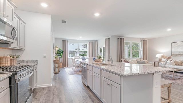 160 Hadley Springs Ave, Longs, SC 29568
