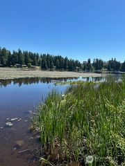 13705 W Lake Kathleen Drive SE, Renton, WA 98039