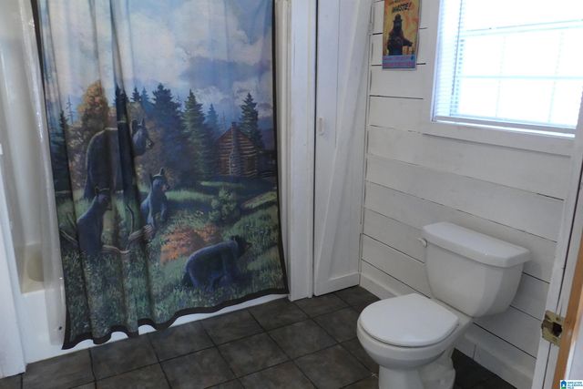 832 POINT SOUTH DRIVE, Wedowee, AL 36266