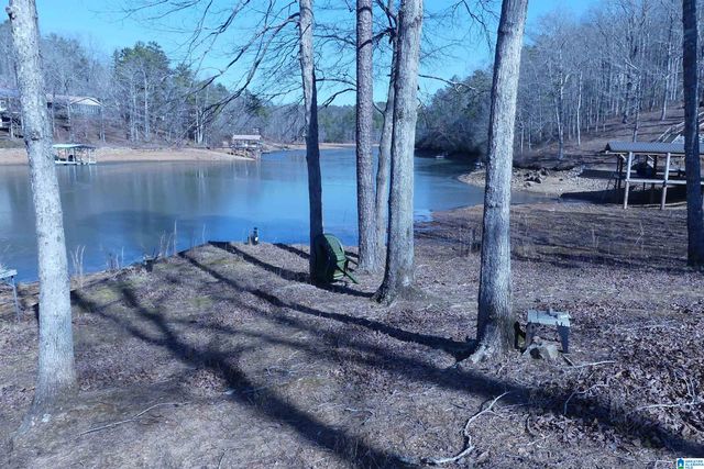 832 POINT SOUTH DRIVE, Wedowee, AL 36266