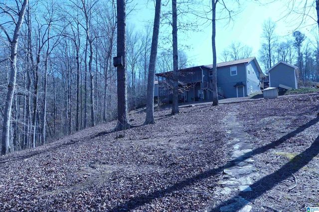 832 POINT SOUTH DRIVE, Wedowee, AL 36266