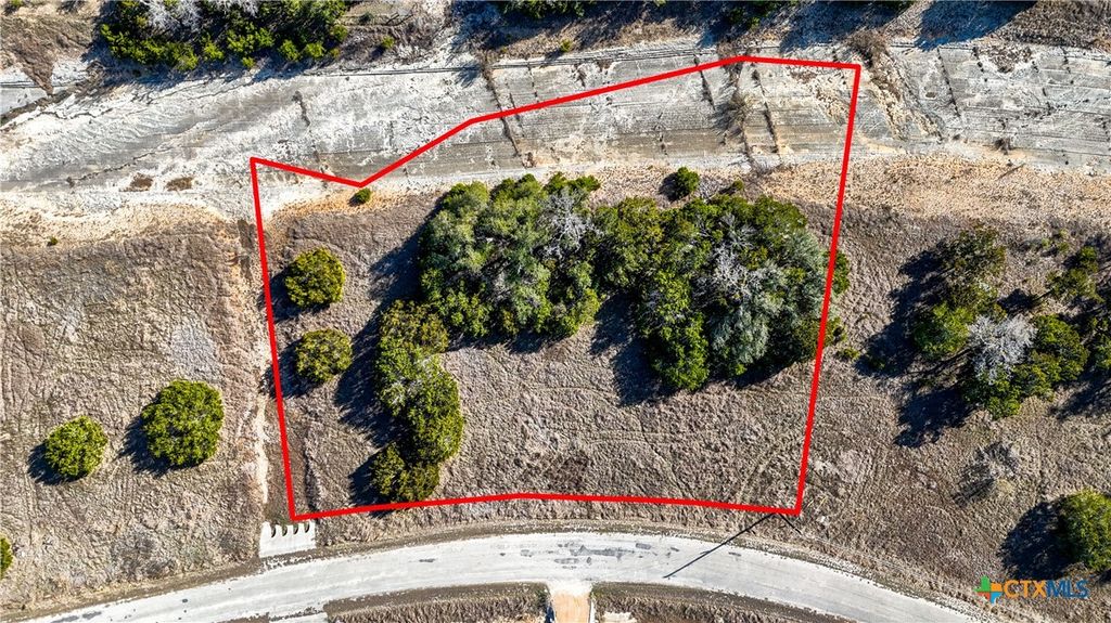 113 Liberty Bell Lane, Fischer, TX 78623