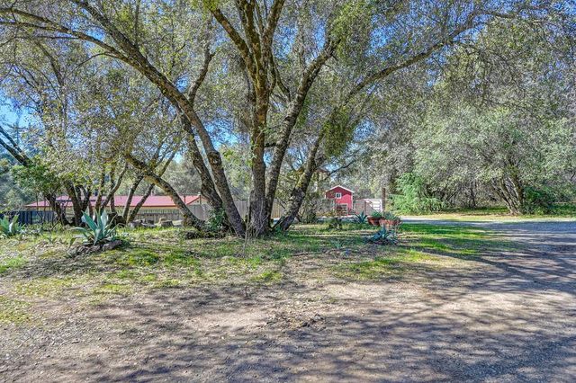 16190 Rolling Oaks Ct, Fiddletown, CA 95629