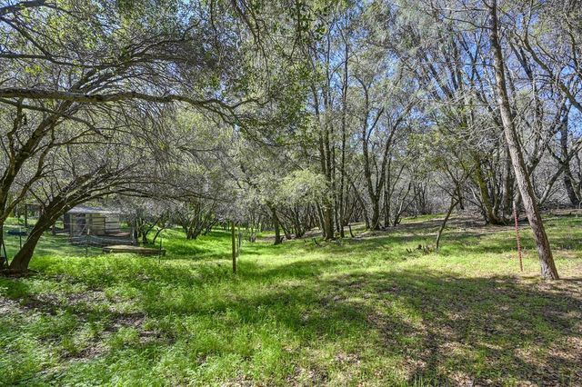 16190 Rolling Oaks Ct, Fiddletown, CA 95629