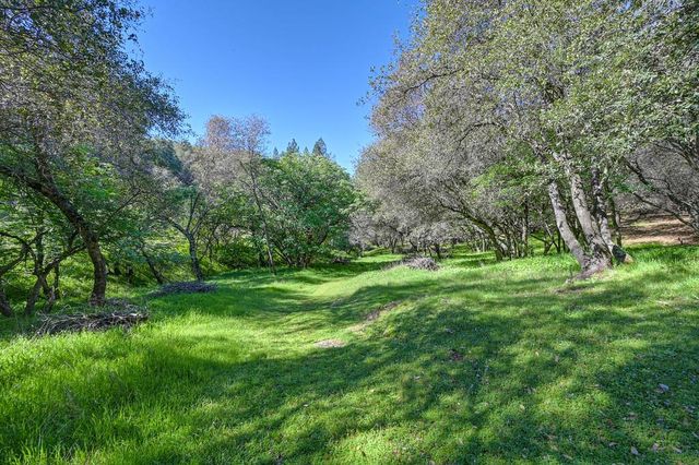 16190 Rolling Oaks Ct, Fiddletown, CA 95629