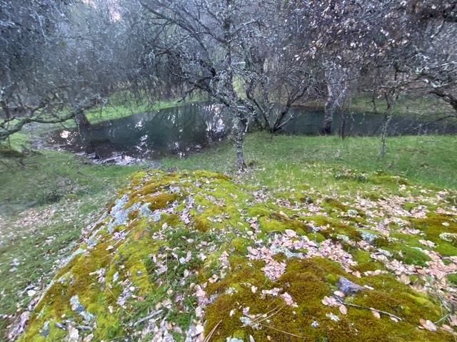 16190 Rolling Oaks Ct, Fiddletown, CA 95629