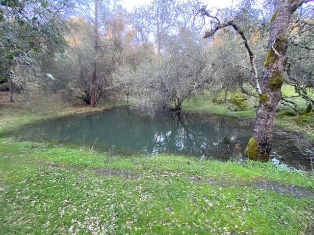 16190 Rolling Oaks Ct, Fiddletown, CA 95629