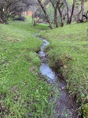 16190 Rolling Oaks Ct, Fiddletown, CA 95629