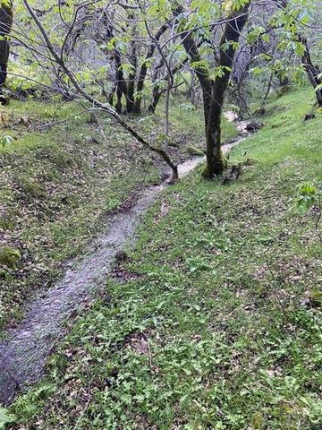 16190 Rolling Oaks Ct, Fiddletown, CA 95629