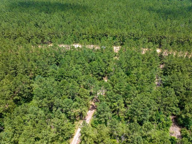 7 Benny Griffin Road, Dallardsville, TX 77351