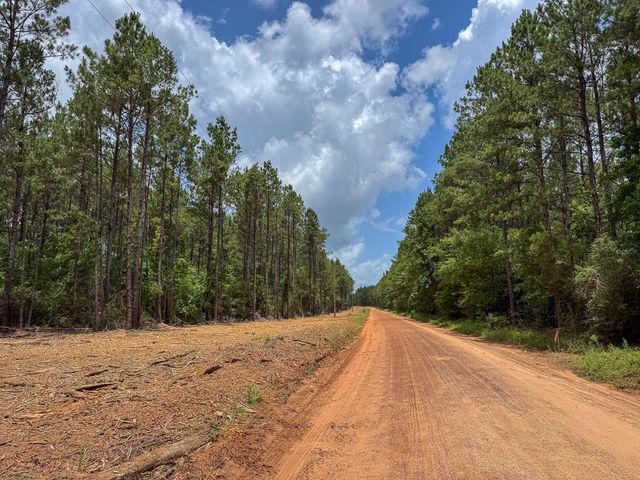 7 Benny Griffin Road, Dallardsville, TX 77351