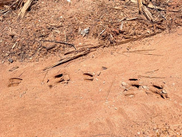 7 Benny Griffin Road, Dallardsville, TX 77351