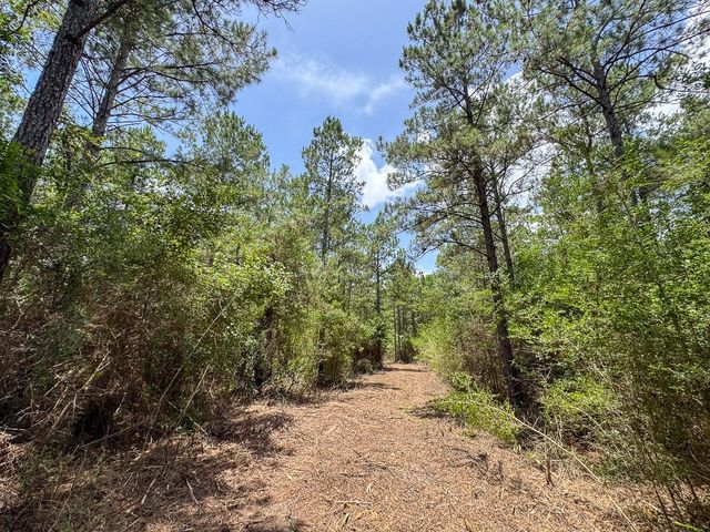 7 Benny Griffin Road, Dallardsville, TX 77351