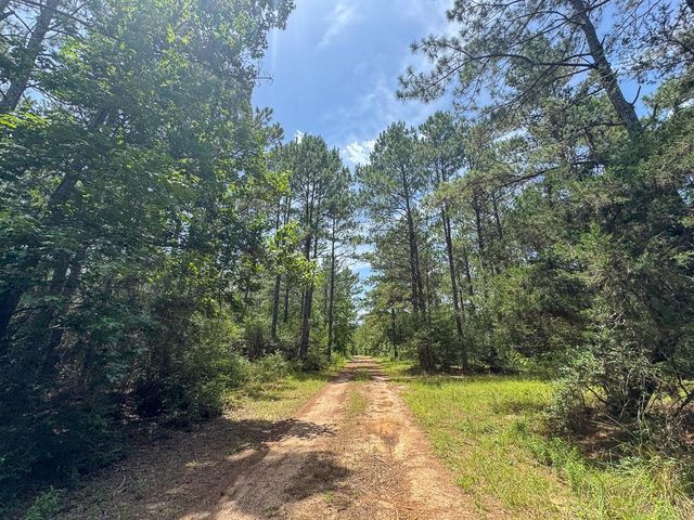 7 Benny Griffin Road, Dallardsville, TX 77351