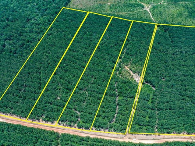 7 Benny Griffin Road, Dallardsville, TX 77351