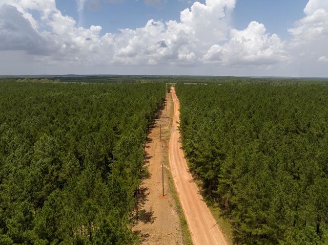 7 Benny Griffin Road, Dallardsville, TX 77351