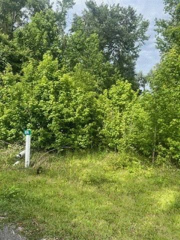 874 Flatwoods Road, Monticello, FL 32344
