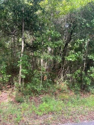 874 Flatwoods Road, Monticello, FL 32344