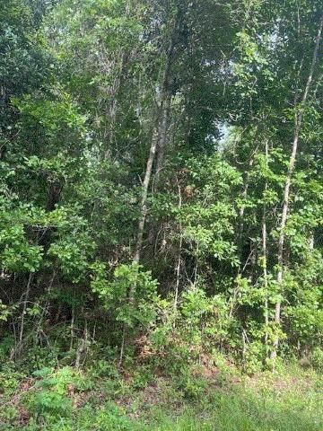 874 Flatwoods Road, Monticello, FL 32344