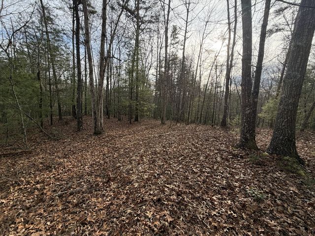 56.6 Ac Cutcane Road, Mineral Bluff, GA 30559