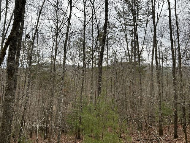 56.6 Ac Cutcane Road, Mineral Bluff, GA 30559