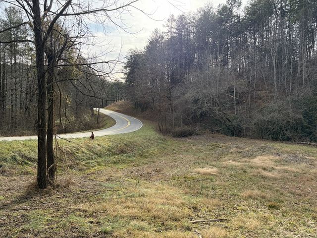 56.6 Ac Cutcane Road, Mineral Bluff, GA 30559