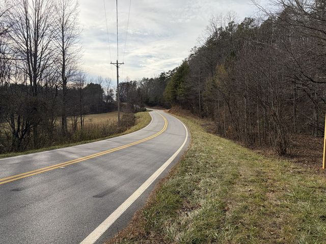 56.6 Ac Cutcane Road, Mineral Bluff, GA 30559