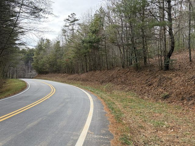 56.6 Ac Cutcane Road, Mineral Bluff, GA 30559