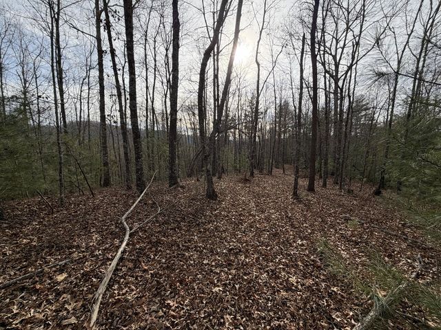 56.6 Ac Cutcane Road, Mineral Bluff, GA 30559