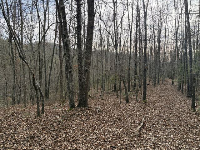 56.6 Ac Cutcane Road, Mineral Bluff, GA 30559