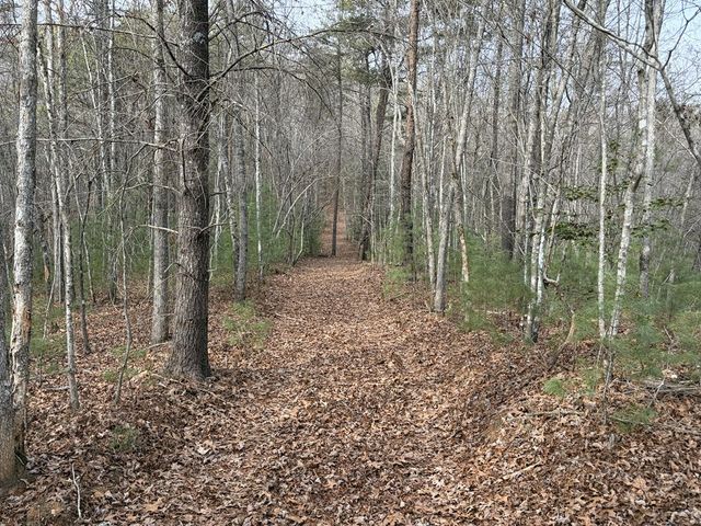 56.6 Ac Cutcane Road, Mineral Bluff, GA 30559