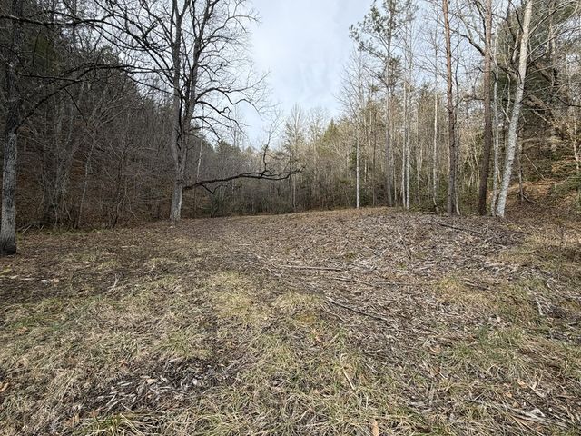 56.6 Ac Cutcane Road, Mineral Bluff, GA 30559