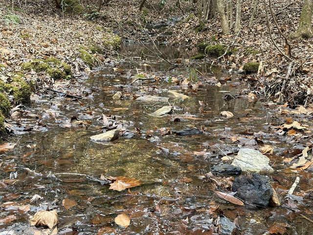 56.6 Ac Cutcane Road, Mineral Bluff, GA 30559
