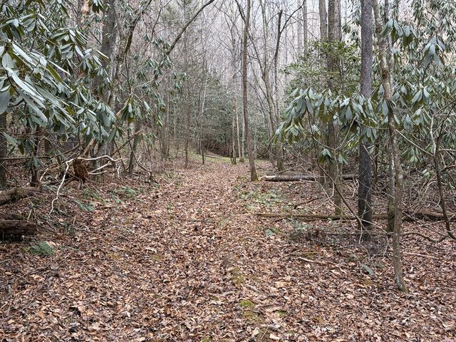 56.6 Ac Cutcane Road, Mineral Bluff, GA 30559