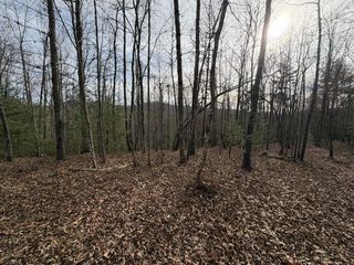 56.6 Ac Cutcane Road, Mineral Bluff, GA 30559