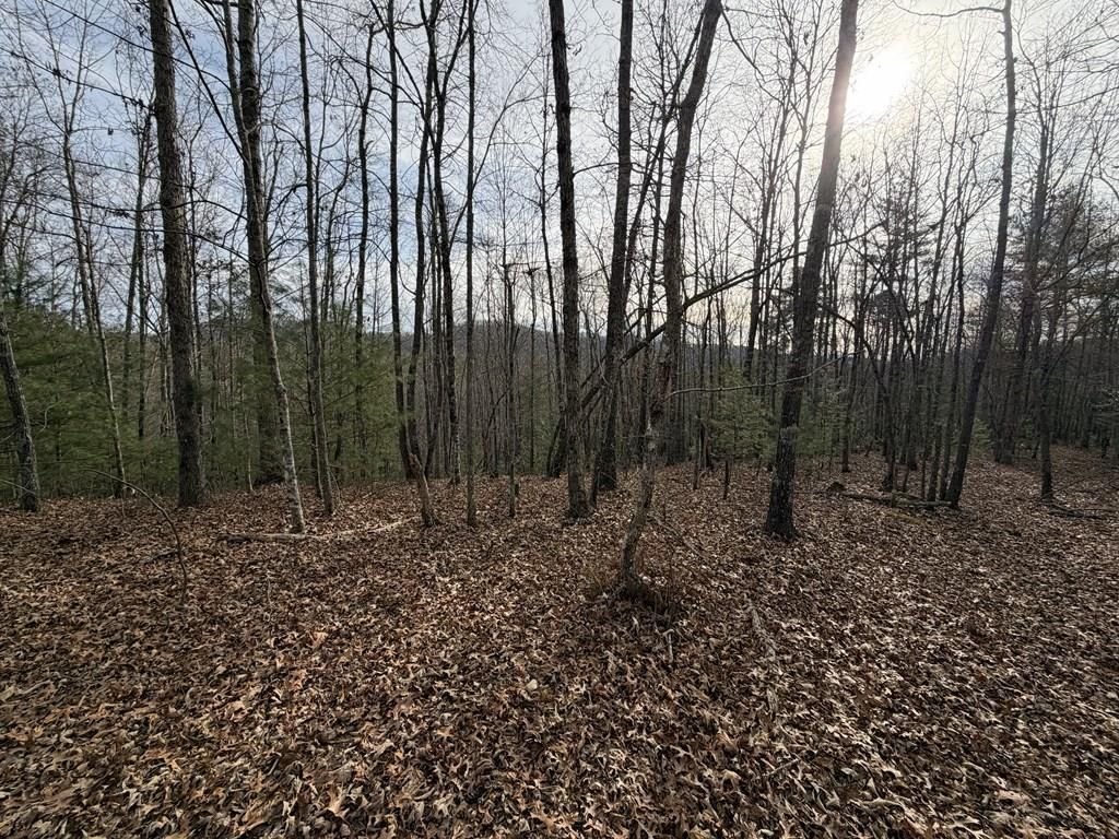 56.6 Ac Cutcane Road, Mineral Bluff, GA 30559