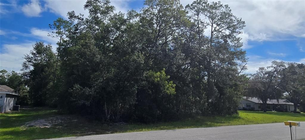 10185 N MAJORCA WAY, Citrus Springs, FL 34434