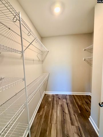 764 Ruskin Drive, Chapin, SC 29036