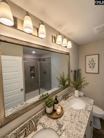 764 Ruskin Drive, Chapin, SC 29036