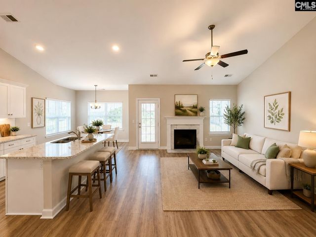 764 Ruskin Drive, Chapin, SC 29036