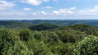 8346 Balata Drive, Ooltewah, TN 37363