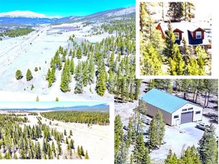 93 Placer Drive, Alma, CO 80420