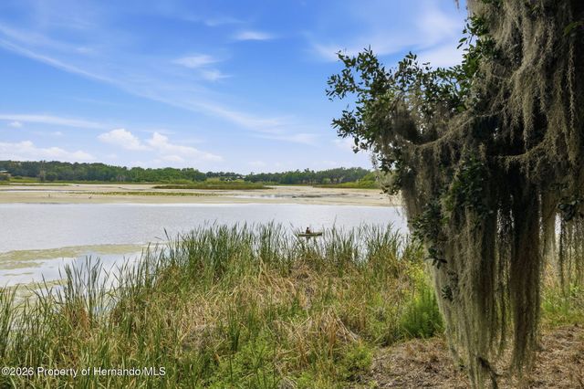 18610 Townsend House Road, Dade City, FL 33523