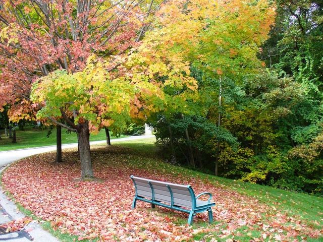 12 Ledgewood Hills Dr Apt 105, Nashua, NH 03062