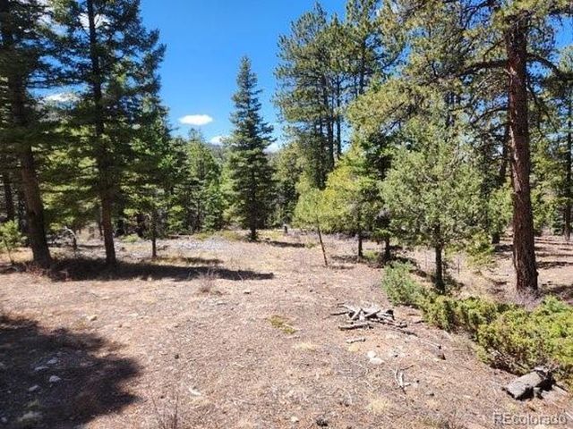 2613 Sleger Rd, Fort Garland, CO 81133