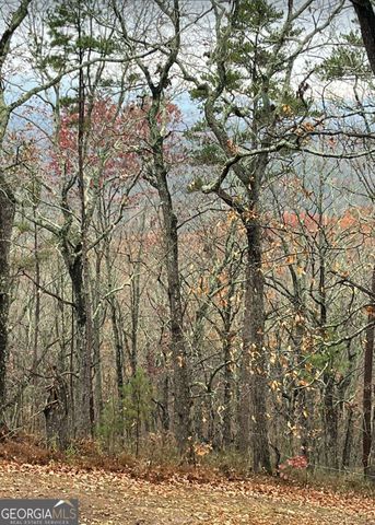 437 Mccurry Trail, Canton, GA 30114