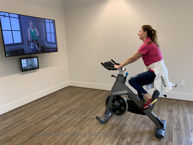 207 Wooded Rill Court, Willis, TX 77318