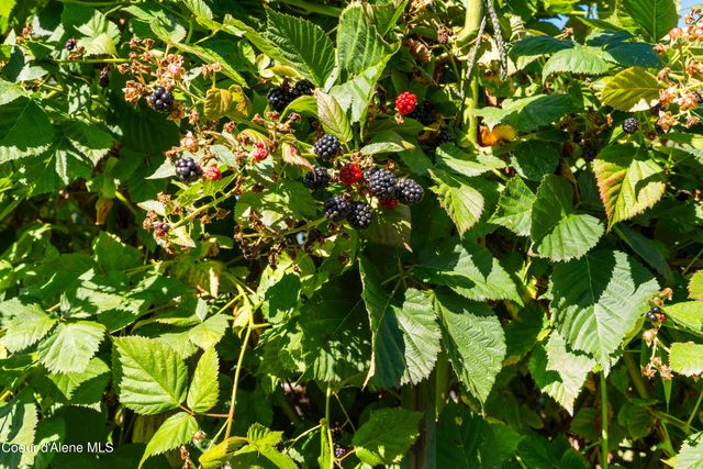 7535 N MT CARROL ST, Dalton Gardens, ID 83815